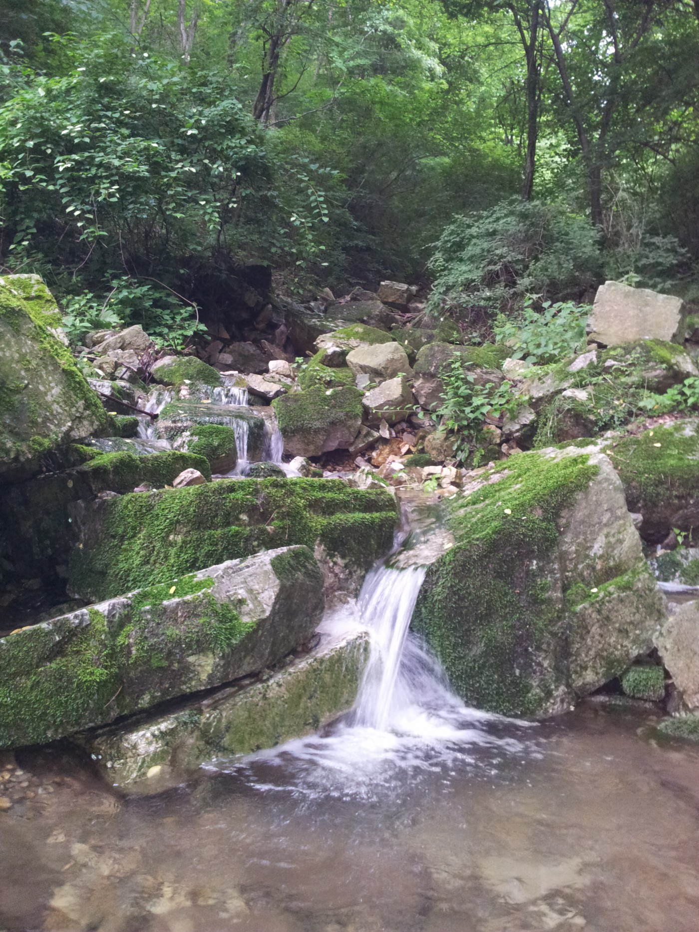120714_mkduduk162955.jpg