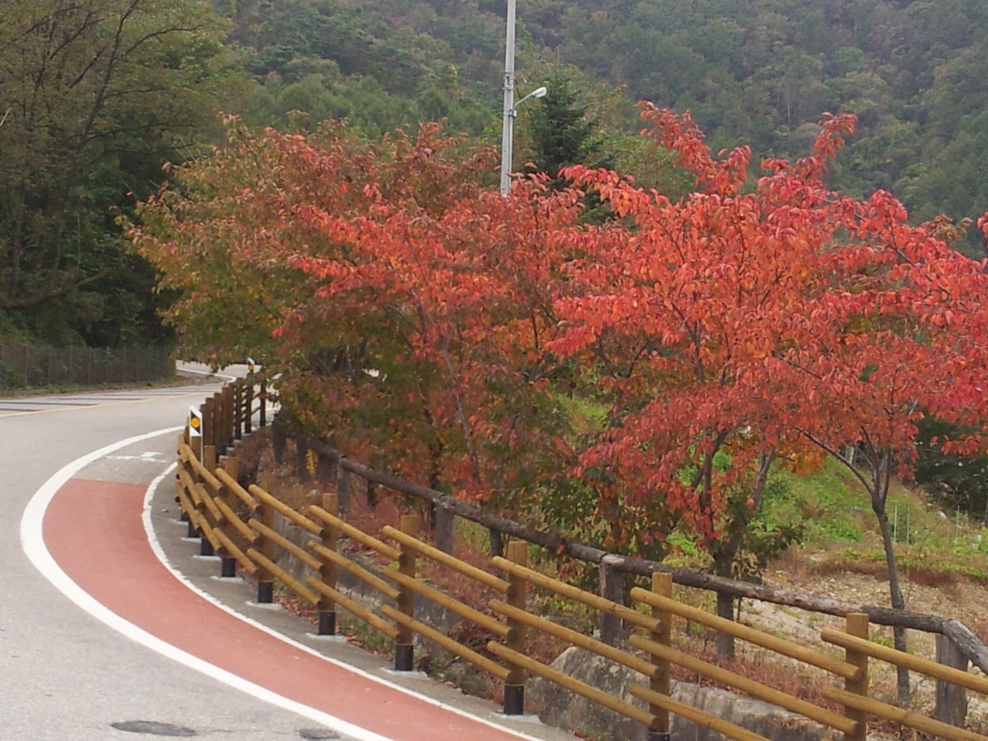 121016_mkduduk214616.jpg